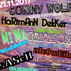 Conny Wolf live at Electrolyse