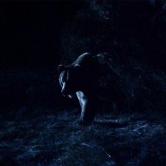 Hizzleguy - Drill Claw VIP