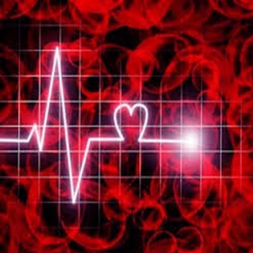 Fox Man - Cardiac Frequency