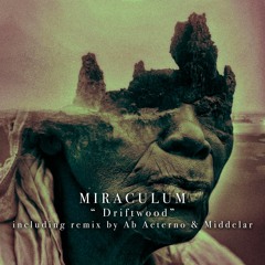 PREMIERE: MiraculuM - Driftwood (Middelar Remix)[Ilogic]