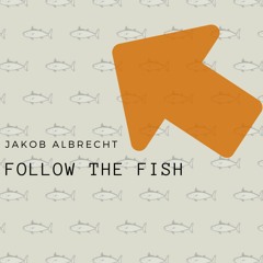 Follow The Fish