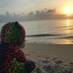 Why i love Landscape Photography.m4a