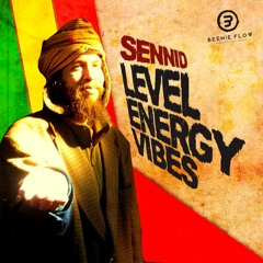 SENNID & BEENIE FLOW PRODUCTIONS - LEVEL ENERGY VIBES