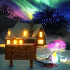NetNobody - Cabin Crazy (ft. Young Lungs)