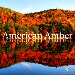 American Amber