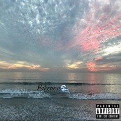 Fakeness feat. M-$keezy
