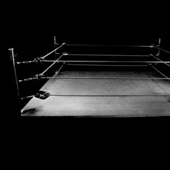 Stay-N-the Fight