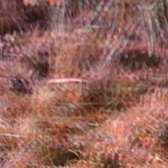 PERFECT PINT 2 - BEAT No.1