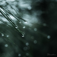 Pachelbel - Canon in D (Piano Cover)