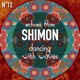 on Echoes from Shimon - Dancing With Waves