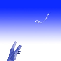 Mirror Room Blackout