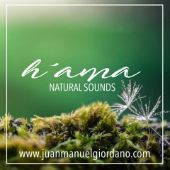 Natural Sounds H´ama