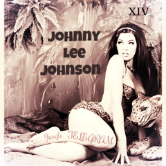 Johnny lee Johnson vol XIV Jungle Telegram