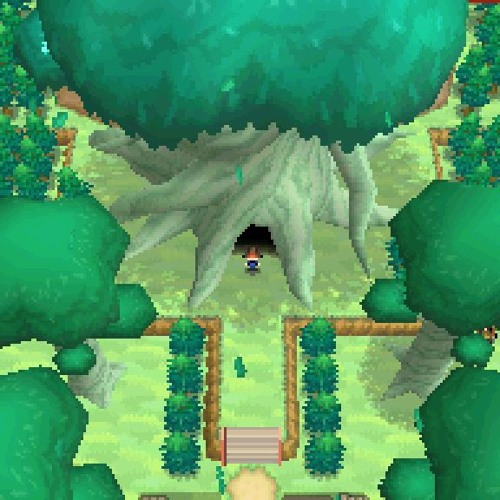Dark Forest biome – Pixelmon Reforged Wiki