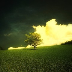 In This Life (Instrumental)