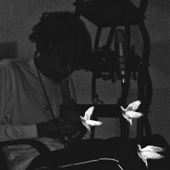 Bird 🐦 (prod. kidkeva)