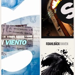Viento Bababa Raven - Gianluca Vacchi michael Feiner (Stevesmile mashup)