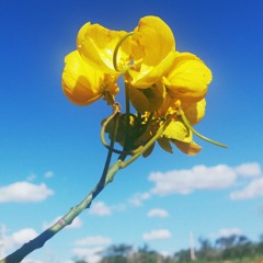 Cedo Ou Tarde - Onde Estiver - NX0 - cover