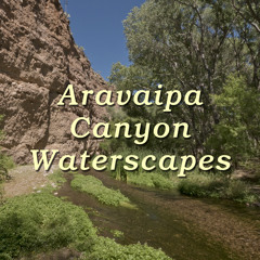 Gentle Crickets (Aravaipa Canyon Waterscape)