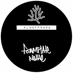 Foamplate - Nettle / Moose Fly [PLANTPOWER003]
