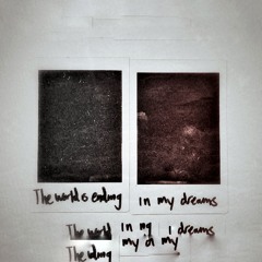 we found two dead swans and filled their bodies with flowers (cover)