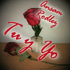 Tu y Yo (Willyam Cover) [Studio Version]