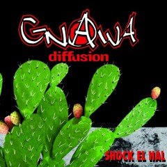 Gnawa Diffusion -  Baba El Gnawi