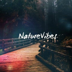 ✭ Exclusive ✭ NatureVibes ✭ Deep Cafe Vol 15 ✭ [Live On Radio Webphré]