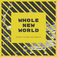 Whole New World