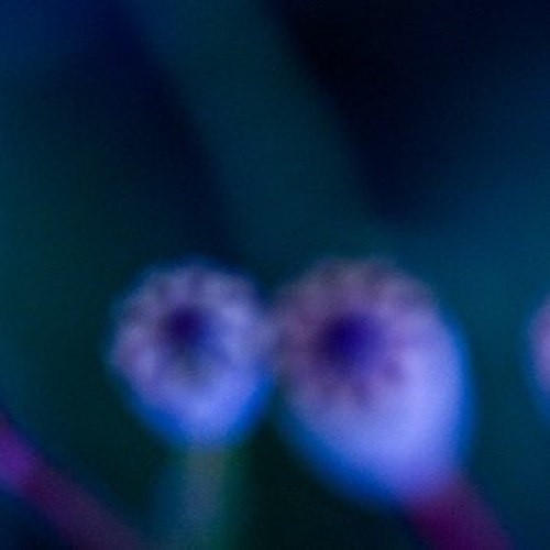 Smoo - Athmosnovember 2