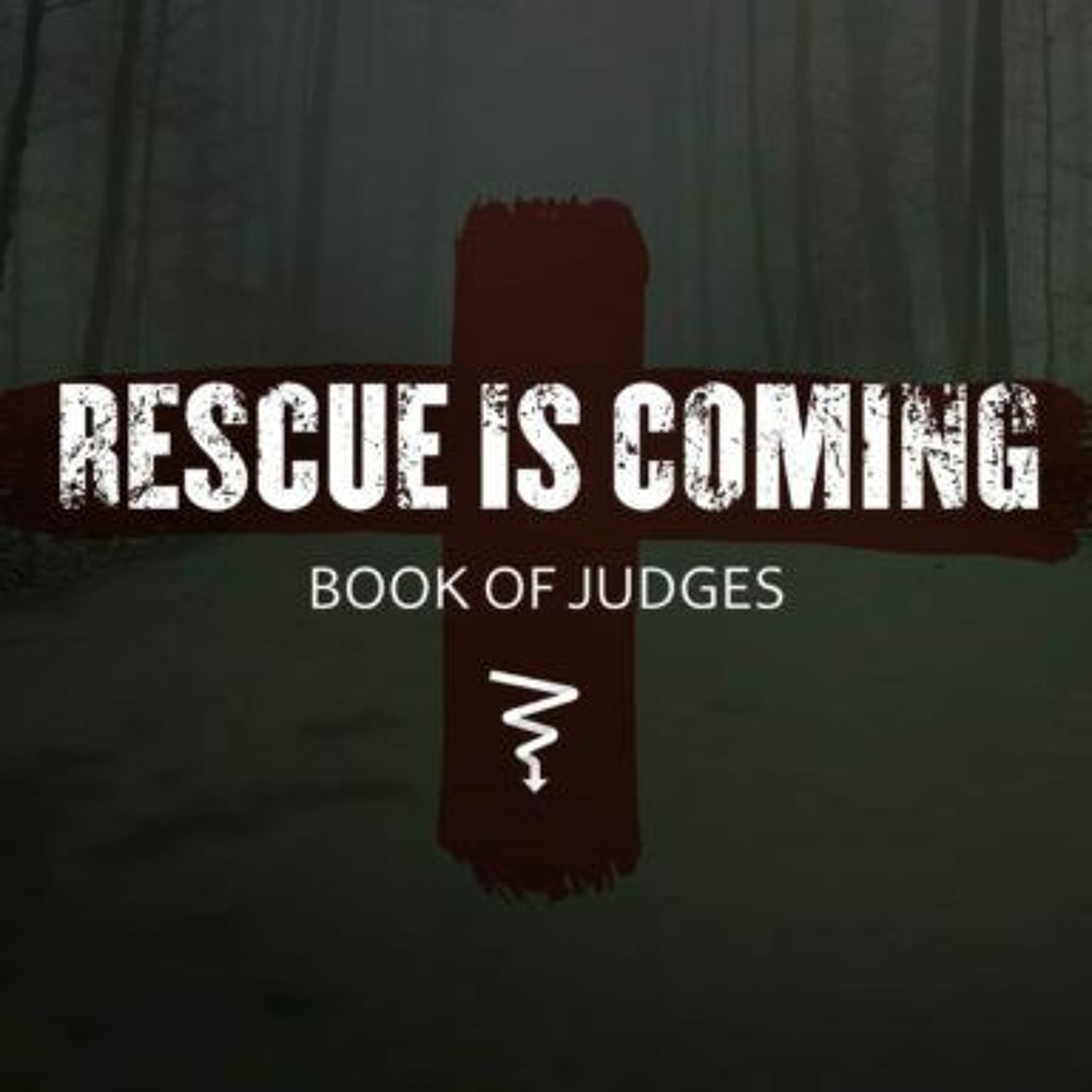 "Rescue Is Coming" Book Of Judges - Ch 13 -14 - 'Delight And Disappointment' - (Joel Deacon)- 261117 episode artwork
