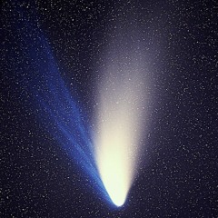 Comet Cruiser
