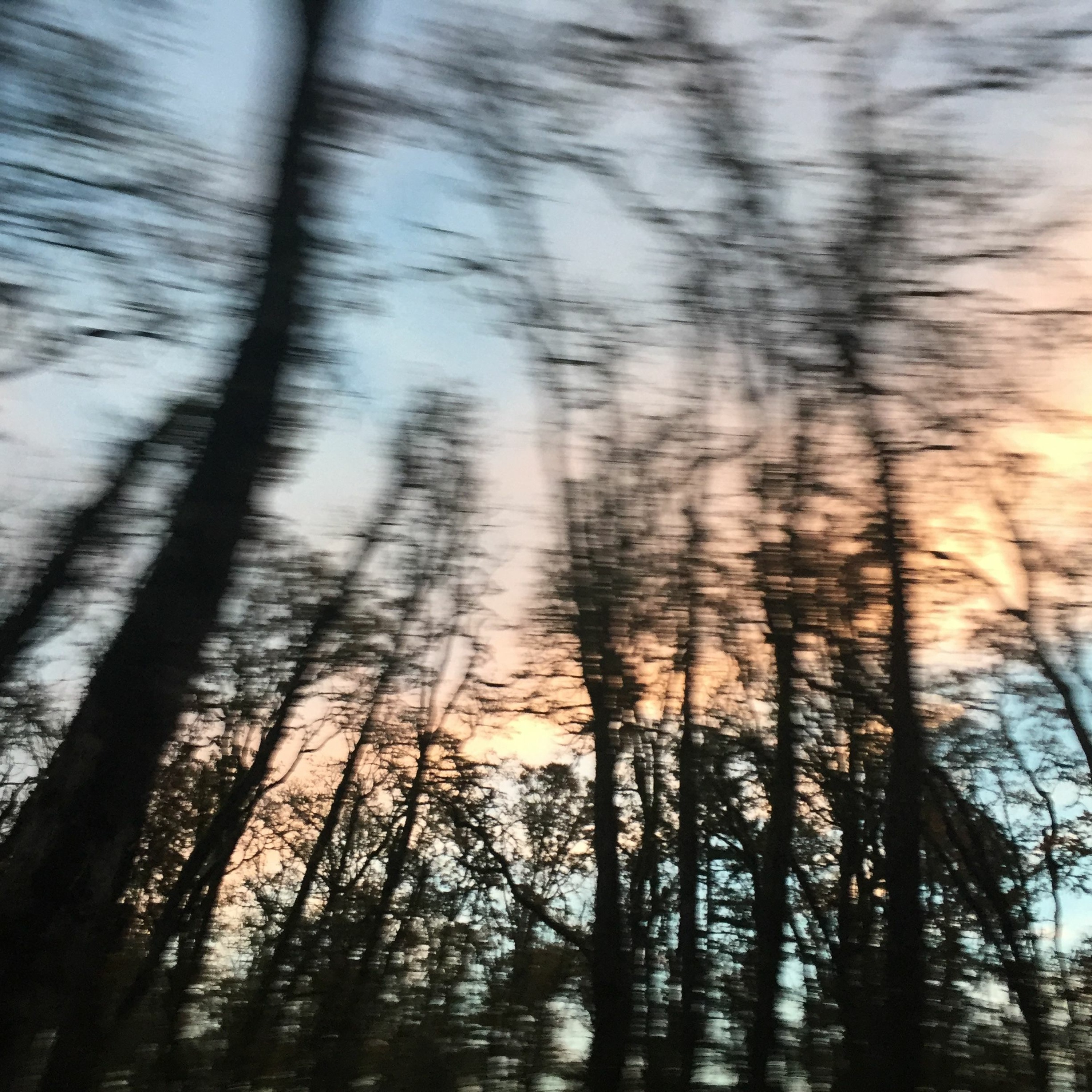 Rob Tobias: TRAIN OF THOUGHT