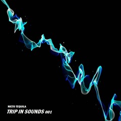 TRIP IN SOUNDS 001 By @NietoTequilaDj
