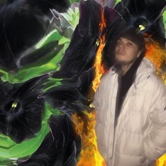 sinbad l chateaunoir -  PETUNIAS