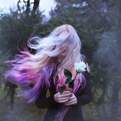 Bella Noir