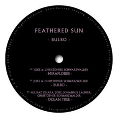 Feathered Sun - "Bulbo" (Original mix)