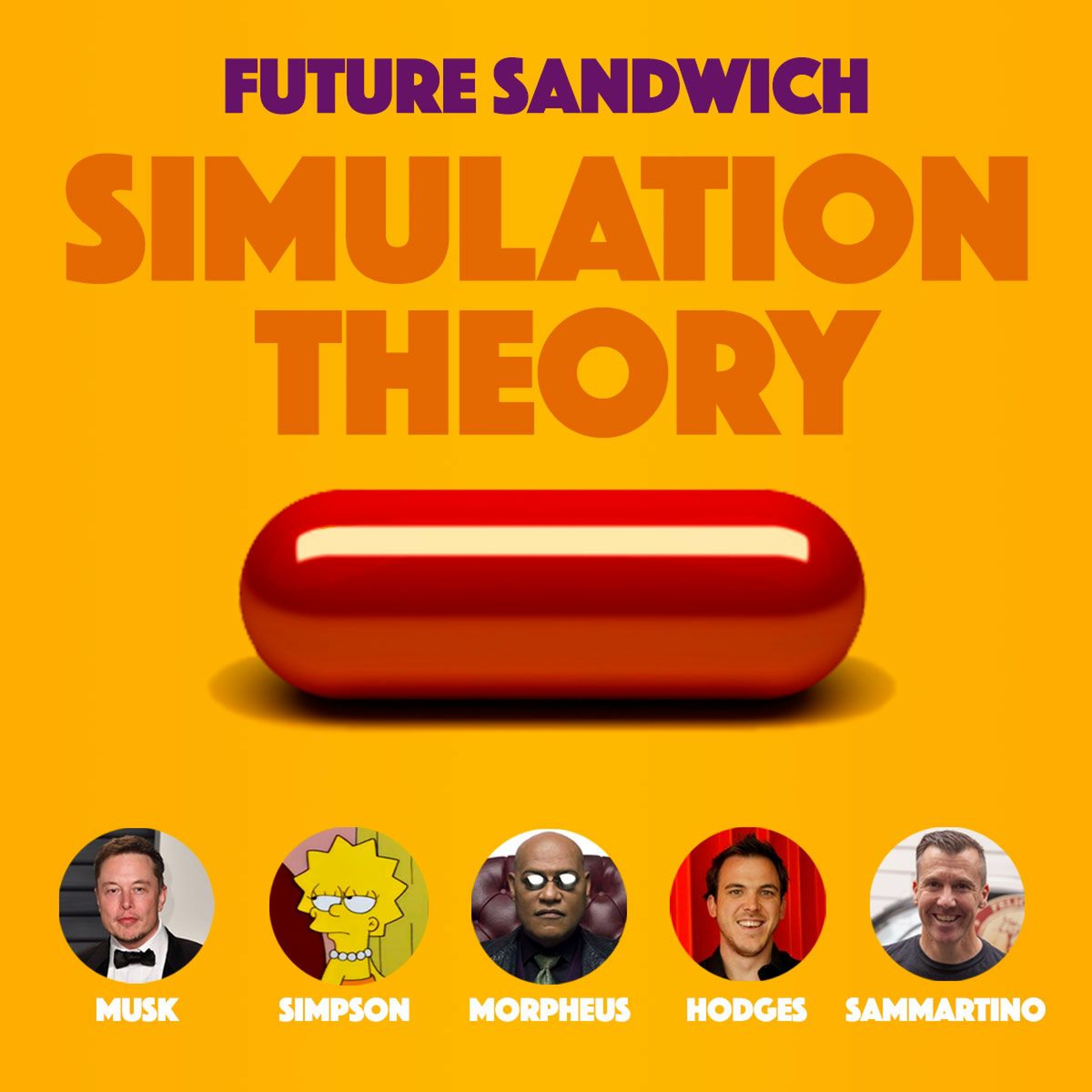 Simulation Theory