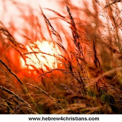 Shavuah Tov for parashat Vayishlach...