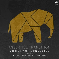 Christian Hornbostel - Assertive Transition (Metodi Hristov Remix) [SET ABOUT]