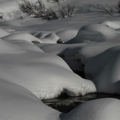 Le Pudding A L'Arsenic