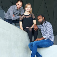 La Chasse Aux Papillons - DREISAM