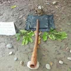 Solo de Didgeridoo en F# (Puyo - Ecuador)