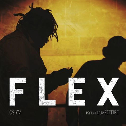 Flex (prod. by Zepfire)