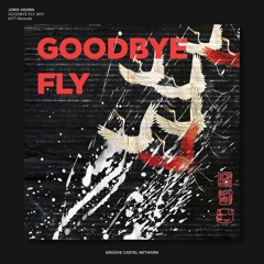 Joris Voorn - Goodbye Fly 2K17(KiTT Remode)