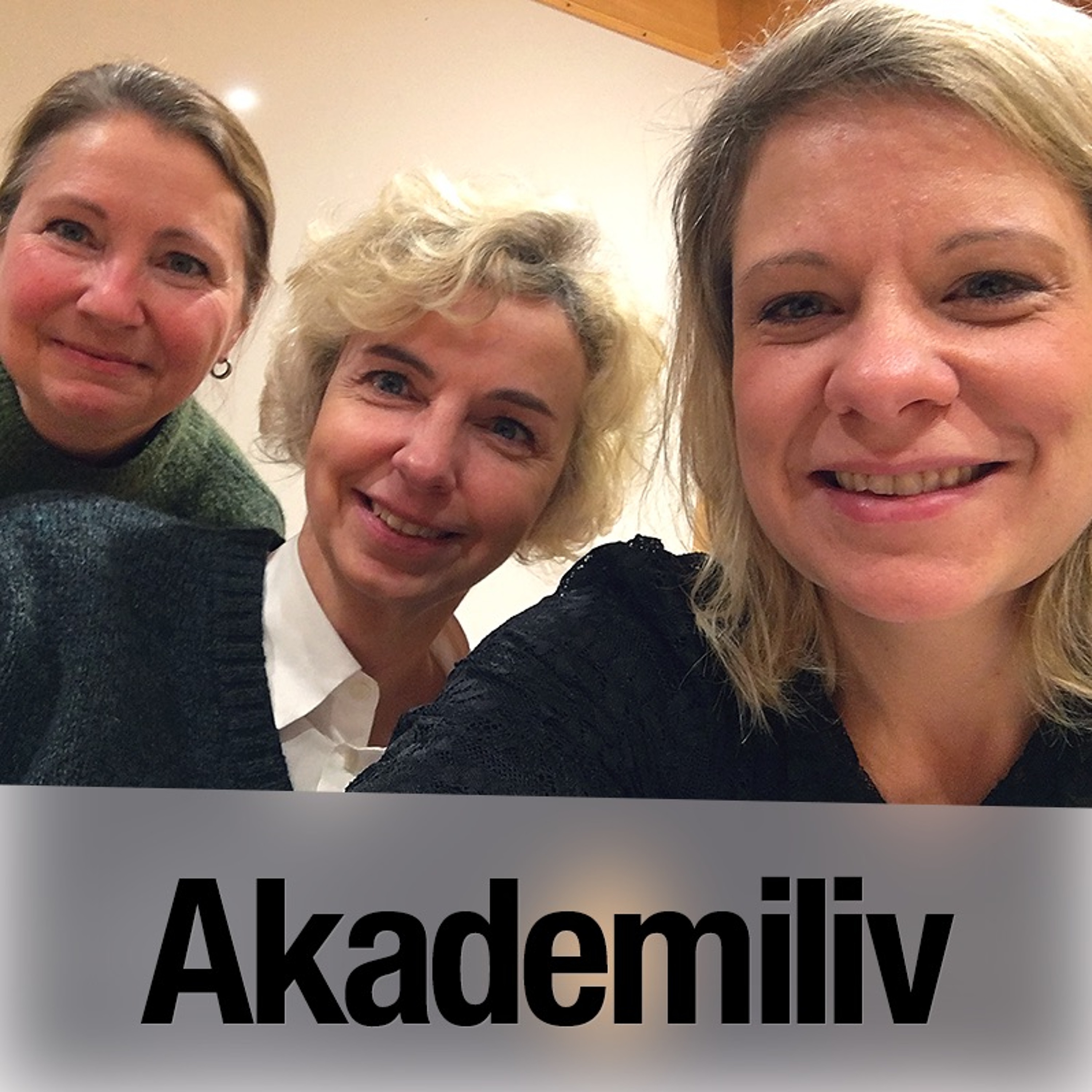 Akademiliv