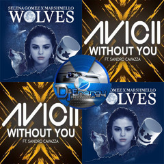 Marshmello x Sandro Cavazza - Wolves Without You (Djenergy Mashup)