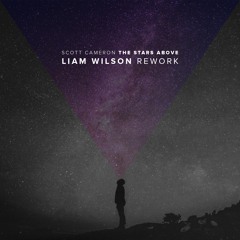 The Stars Above (Liam Wilson Rework)