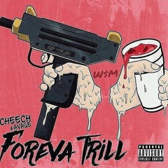 Cheech $avage - H O L D  I T  D O W N