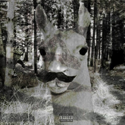 Born To Die